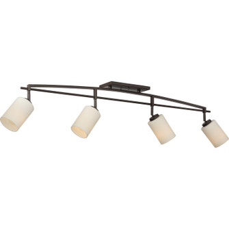 Taylor Four Light Track Light in Western Bronze (10|TY1444WT)