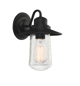 Radford One Light Outdoor Wall Lantern in Matte Black (10|RAD8407MBK)