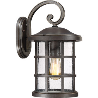 Crusade One Light Outdoor Wall Lantern in Palladian Bronze (10|CSE8410PN)