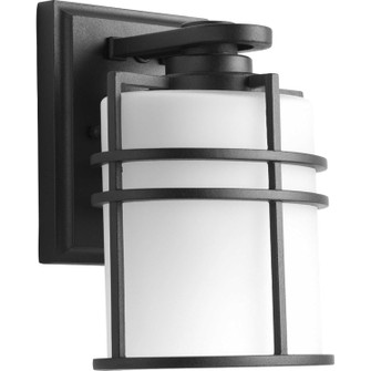 Format One Light Wall Lantern in Black (54|P6062-31)