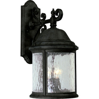 Ashmore Three Light Large Wall Lantern in Textured Black (54|P5651-31)