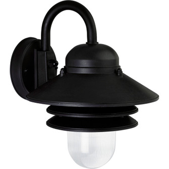 Newport One Light Wall Lantern in Textured Black (54|P5645-31)