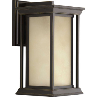 Endicott One Light Wall Lantern in Antique Bronze (54|P5610-20)