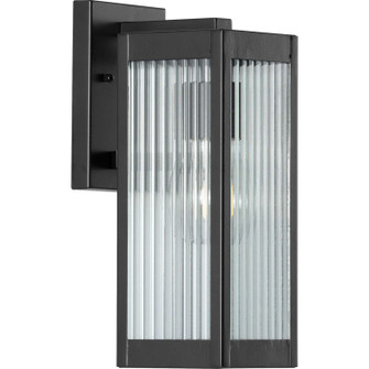 Felton One Light Wall Lantern in Black (54|P560129-031)