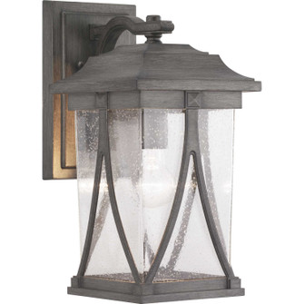 Abbott One Light Wall Lantern in Antique Pewter (54|P560114-103)