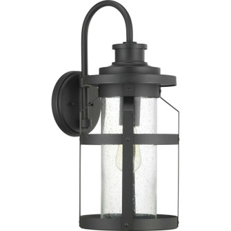 Haslett One Light Wall Lantern in Black (54|P560096-031)