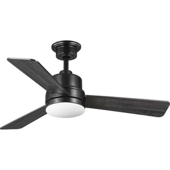 Trevina Ii 44''Ceiling Fan in Black (54|P2555-3130K)