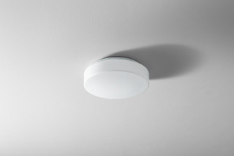 Rhythm LED Ceiling Mount in White (440|3-648-6)