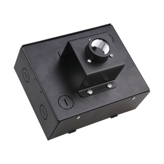 Pendant Adapter in Black (72|65-769)