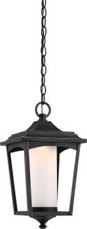 Essex LED Outdoor Hanging Lantern in Sterling Black (72|62-824)