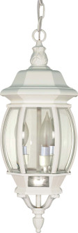 Central Park Three Light Hangng Lantern in White (72|60-894)