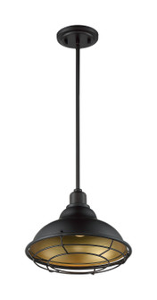 Newbridge One Light Pendant in Dark Bronze / Gold (72|60-7014)