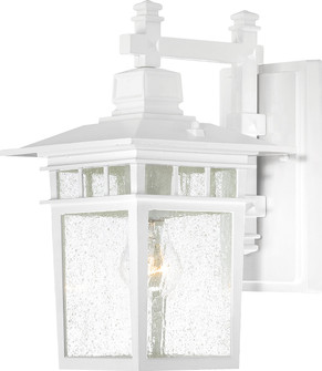 Cove Neck One Light Wall Lantern in White / Clear Seeded (72|60-4957)