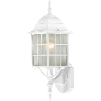 Adams One Light Wall Lantern in White (72|60-4901)