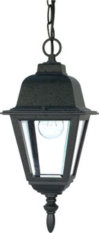 Briton One Light Hanging Lantern in Textured Black (72|60-489)