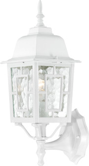 Banyan One Light Wall Lantern in White (72|60-3487)