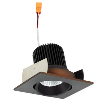 Rec Iolite 2'' Square Cone Reg. Adj in Bronze Reflector / Bronze Flange (167|NIOB-2SC40XBZ/10)