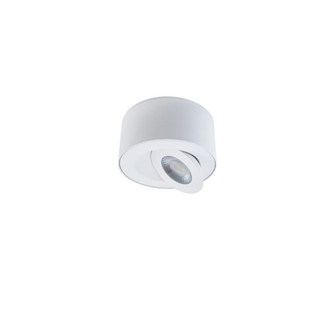 I Spy LED Outdoor Flush Mount in White (281|FM-W44205-30-WT)