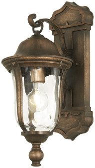 Havenwood One Light Outdoor Wall Mount in Tauira Bronze And Alder Silver (7|73241-748)
