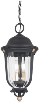 Peale Street Three Light Outdoor Chain Hung in Sand Coal And Vermeil Gold (7|73236-738)