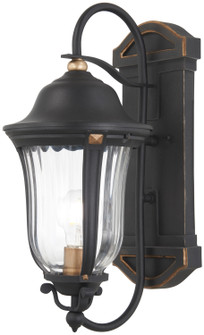 Peale Street One Light Outdoor Wall Mount in Sand Coal And Vermeil Gold (7|73231-738)