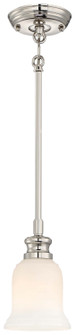 Audrey'S Point One Light Mini Pendant in Polished Nickel (7|3290-613)