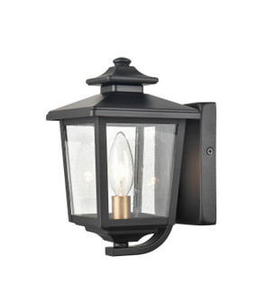 Eldrick One Light Outdoor Hanging Lantern in Powder Coat Black (59|4611-PBK)