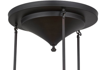 Craftsman Brown On Brass Three Light Pendant Hardware in Craftsman Brown (57|72022)