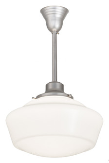 Revival Schoolhouse One Light Pendant in Brass Tint (57|193224)