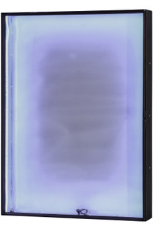 Magnolia & Iris Display LED Backlit Display in Mahogany Bronze (57|151561)