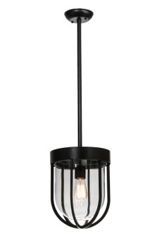 Jaula One Light Pendant in Black Metal (57|145700)