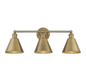 Three Light Bathroom Vanity Light in Natural Brass (446|M80064NB)