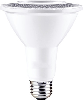 Bulbs Light Bulb (16|BL10PAR30FT120V30)