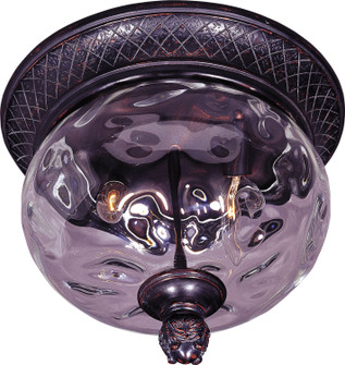 Carriage House VX Two Light Outdoor Ceiling Mount in Oriental Bronze (16|40429WGOB)