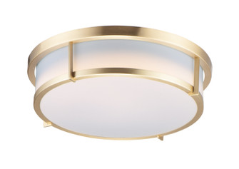 Rogue E26 Two Light Flush Mount in Satin Brass (16|10272WTSBR)