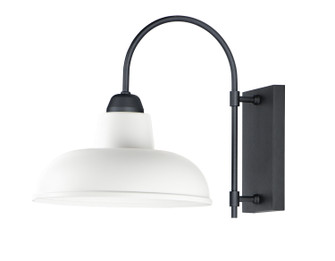 Industrial One Light Outdoor Wall Lantern in White / Black (16|10118WTBK)