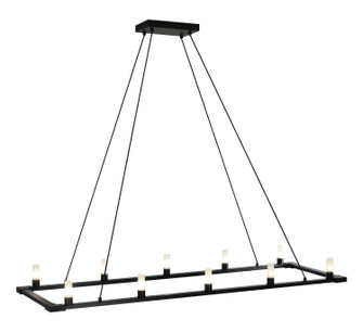 Cascadian Ten Light Chandelier in Matte Black (423|C75210MB)