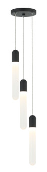 Aydin Three Light Pendant in Matte Black (423|C65803MB)