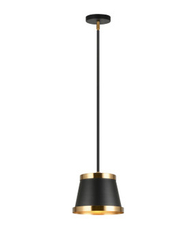 Caske One Light Pendant in Black (423|C62901BKAG)