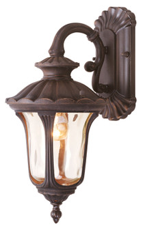 Oxford One Light Outdoor Wall Lantern in Hand Applied Imperial Bronze (107|7651-58)