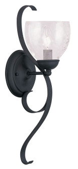 Brookside One Light Wall Sconce in Black (107|4808-04)