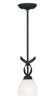 Brookside One Light Mini Pendant in Black (107|4750-04)