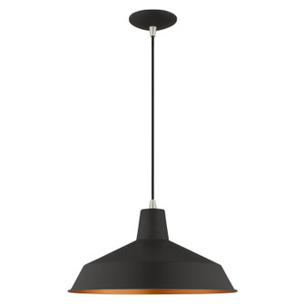 Metal Shade Mini Pendants One Light Mini Pendant in Black w/ Brushed Nickels (107|41183-04)