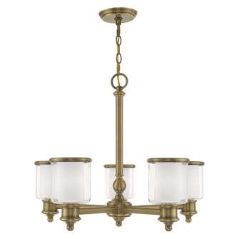 Middlebush Five Light Chandelier in Antique Brass (107|40205-01)