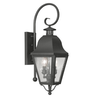 Amwell Two Light Outdoor Wall Lantern in Black (107|2551-04)