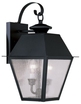 Mansfield Two Light Outdoor Wall Lantern in Black (107|2165-04)