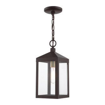 Nyack One Light Outdoor Pendant in Bronze w/ Antique Brass Cluster (107|20591-07)