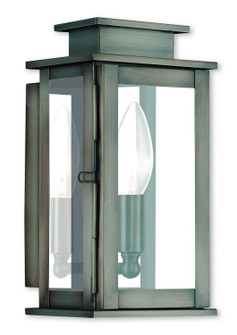 Princeton One Light Outdoor Wall Lantern in Vintage Pewter w/ Polished Chrome Stainless Steel (107|20191-29)