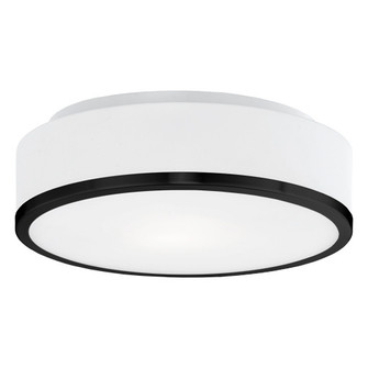 Charlie Two Light Flush Mount in Black (347|599002BK)