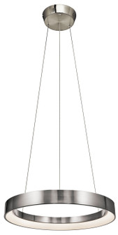 Fornello LED Pendant in Brushed Nickel (12|83261)